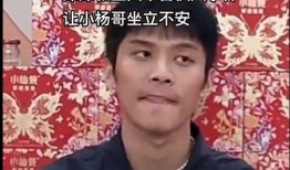 谁爆料的辛巴最新消息呢,揭秘幕后爆料者揭示惊人真相