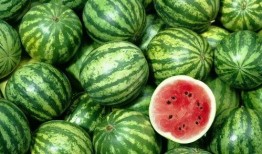 娱乐吃瓜作品在哪看,盘点各大平台热门作品一览