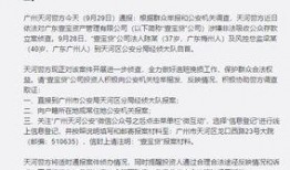 罚罪最新爆料案例分析题,揭秘案件背后惊人真相